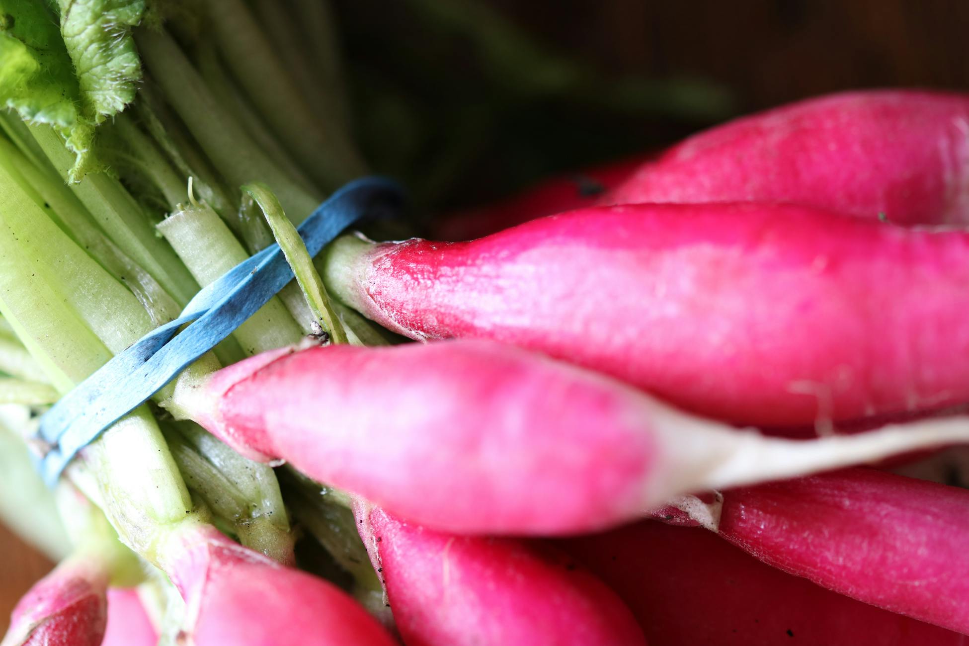 Vibrant close-up of fresh red radishes with green leaves, showcasing their texture.