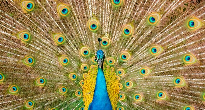 6 habits of people who handle money quietly and never feel the need to perform either their abundance or their restraint for anyone watching