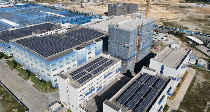 China is treating alternative protein like solar panels, and exporters should be worried