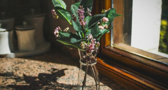 A vase of vibrant pink flowers on a sunlit window sill, creating a warm ambiance.