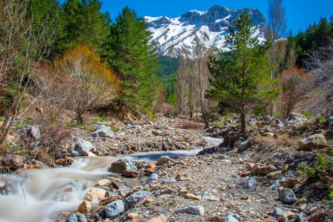 Ecuador's paraecologists are turning biodiversity data into legal weapons