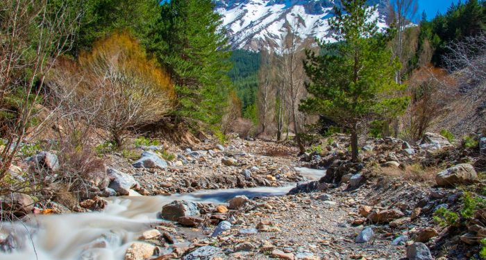 Ecuador's paraecologists are turning biodiversity data into legal weapons