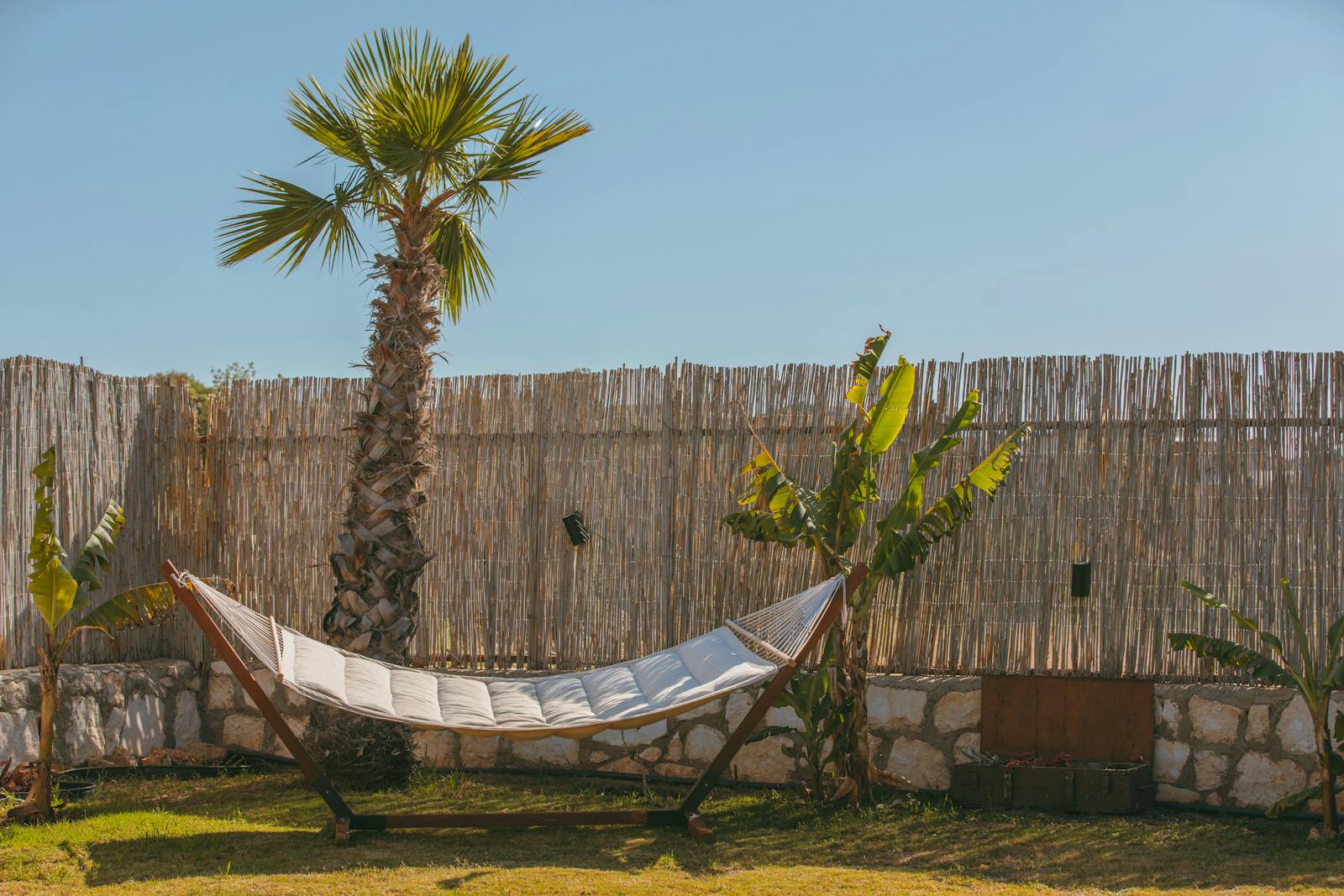 empty hammock backyard