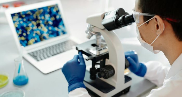 Fish oil's brain benefits aren't universal — and one omega-3 may make head injuries worse