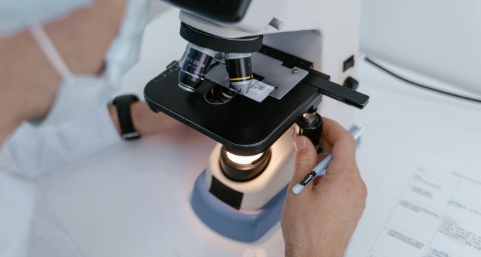 Gut bacteria may determine who develops ALS among those genetically at risk