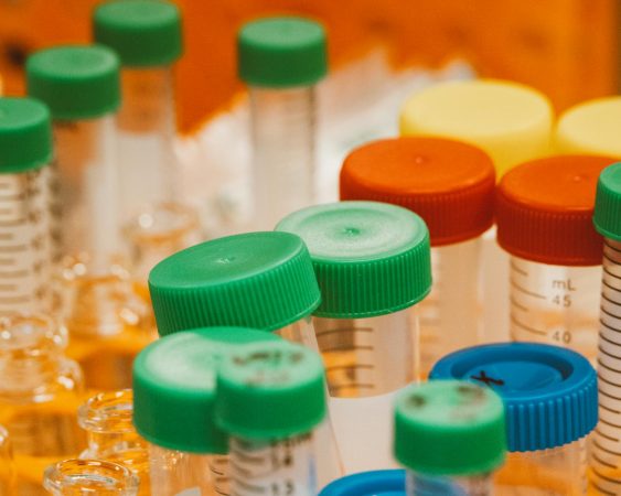 India bets big on biotech to close its massive protein gap