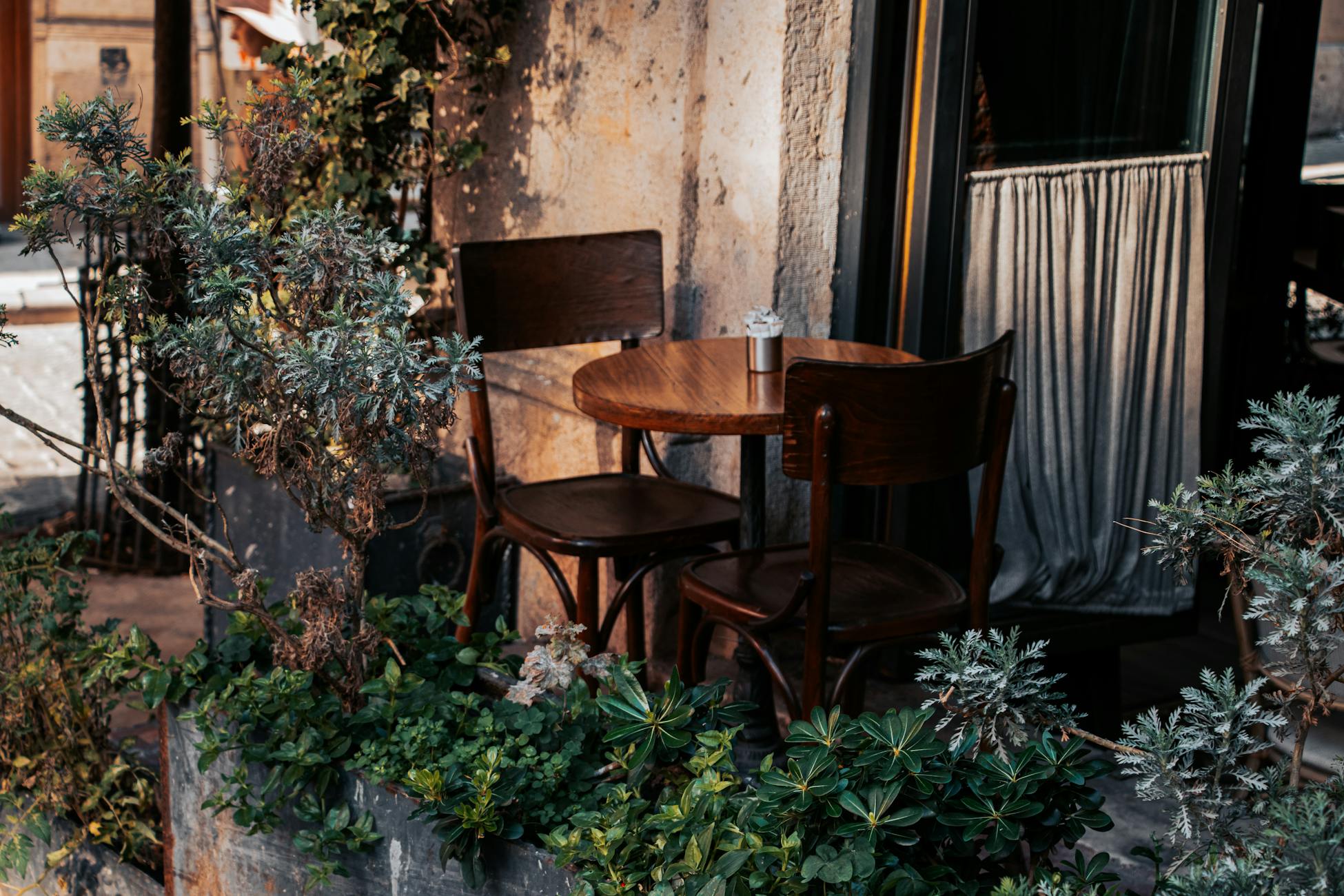 Explore a cozy outdoor café setting with vintage charm and lush greenery.