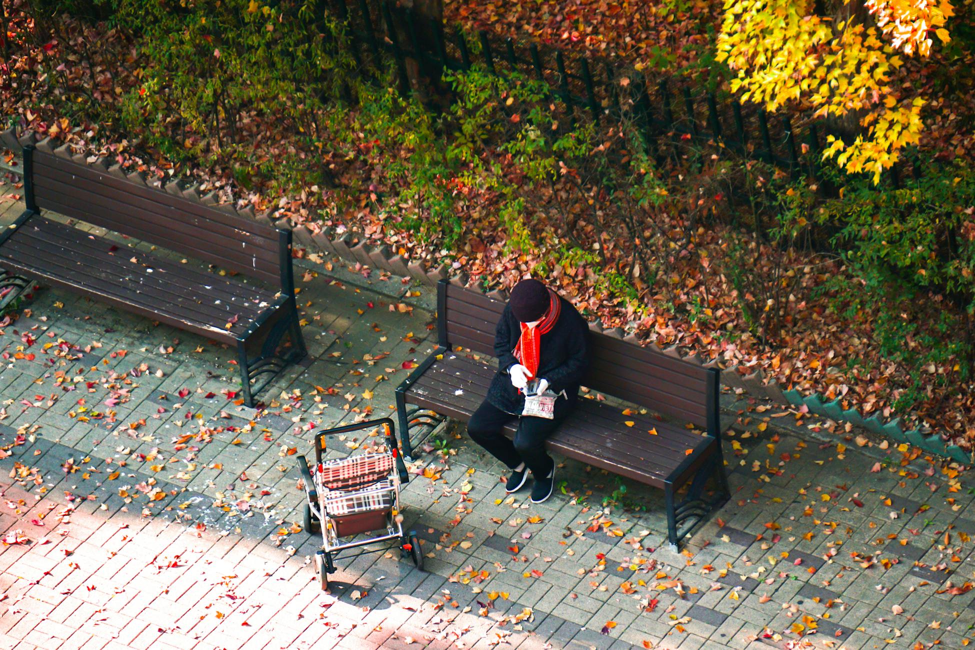 Person sitting on a bench in an autumn park with fallen leaves, wearing warm clothes.