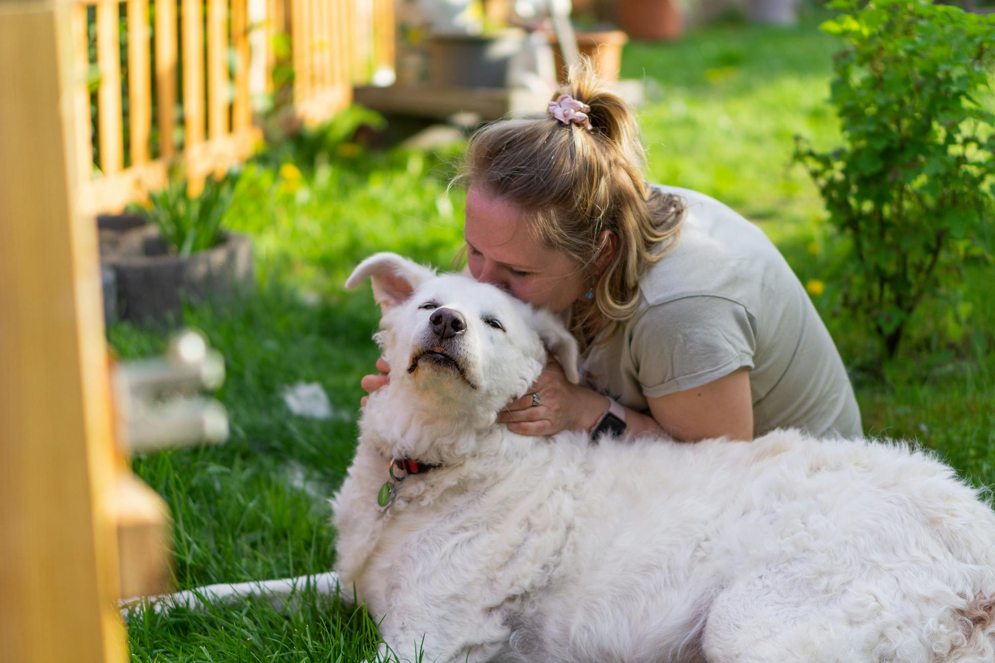 A joyful moment of a woman embracing her fluffy white dog outdoors in a garden.