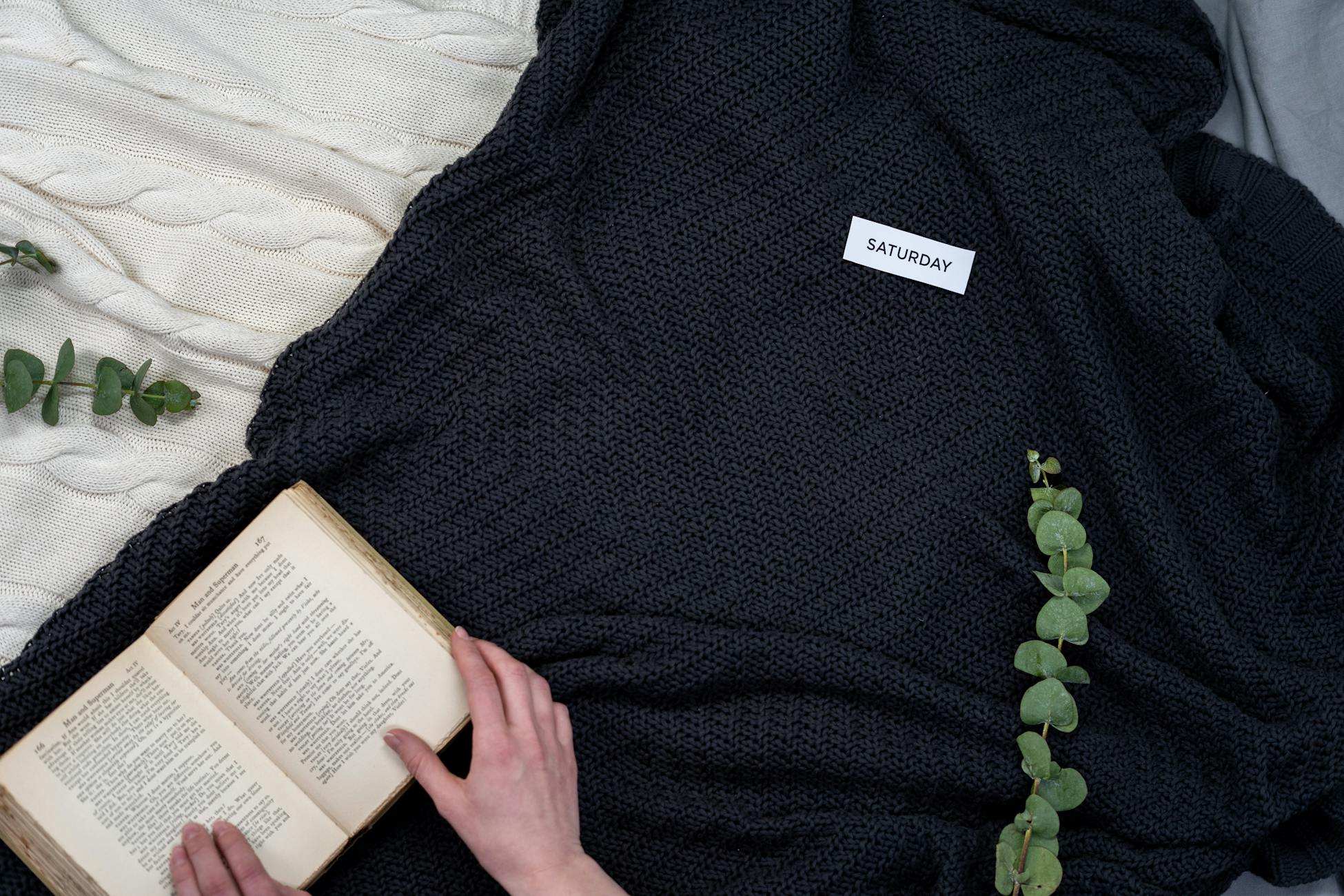 Comfortable reading setup with cozy blankets and greenery emphasizes relaxation.