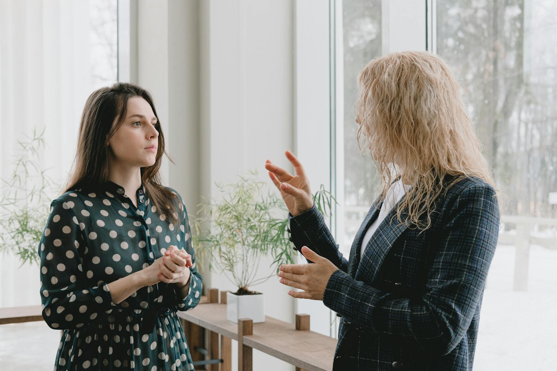 Concentrated young female colleagues in elegant outfits standing near window in light office and discussing project