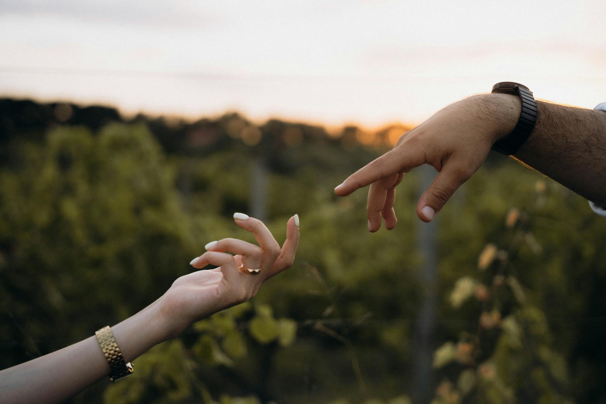 Close-up of two hands reaching out against a lush outdoor background during sunset.