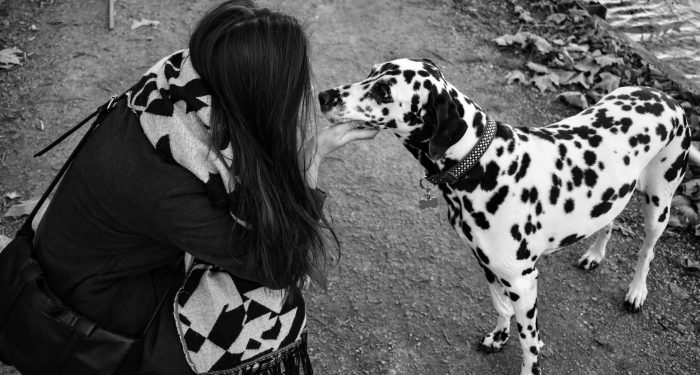 A serene black and white scene of a woman affectionately meeting a Dalmatian dog.