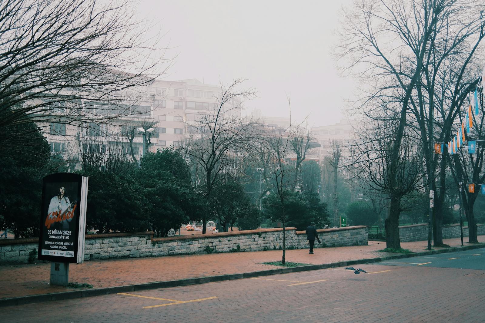 morning walk city sidewalk