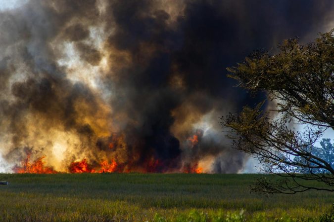 Nebraska's record wildfires are stress-testing America's beef industry