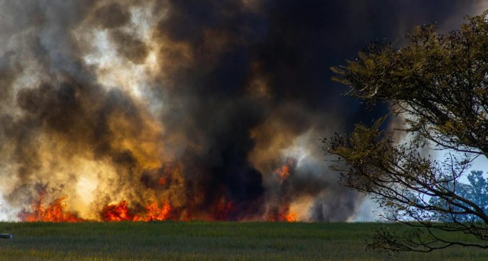 Nebraska's record wildfires are stress-testing America's beef industry
