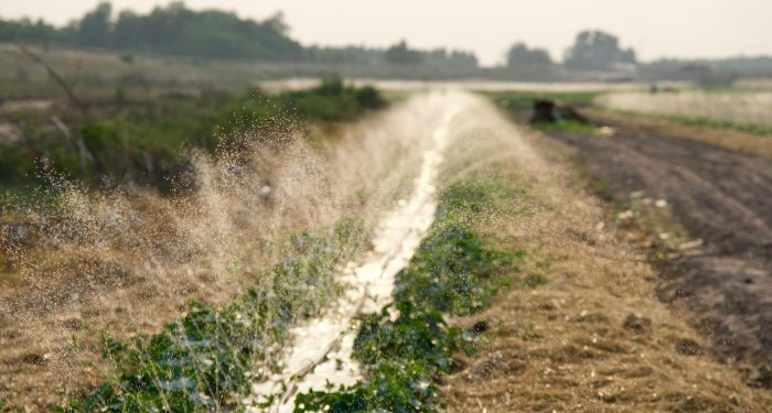 New Mexico's four-century-old acequias face their driest season on record