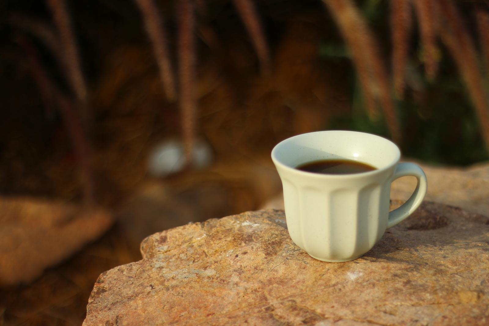 quiet morning coffee