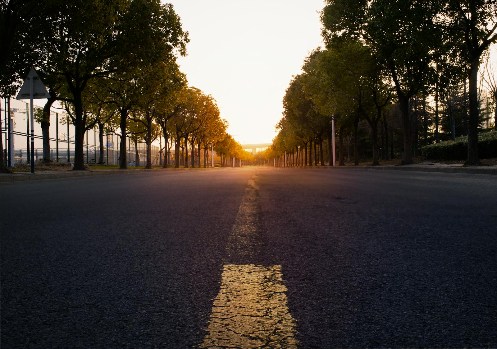 quiet morning empty sidewalk trees