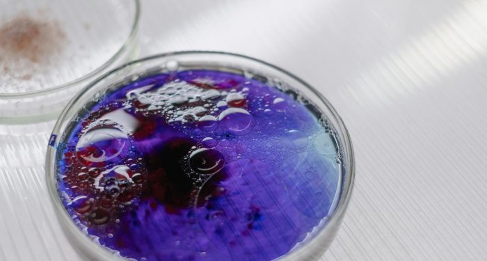 Singapore just published every alt-protein it has approved, and fermentation is leading the pack