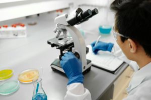 South Africa cracks cultivated meat's costliest ingredient in 50-litre bioreactor first