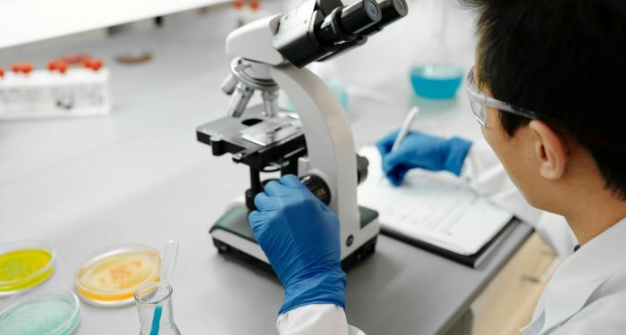 South Africa cracks cultivated meat's costliest ingredient in 50-litre bioreactor first