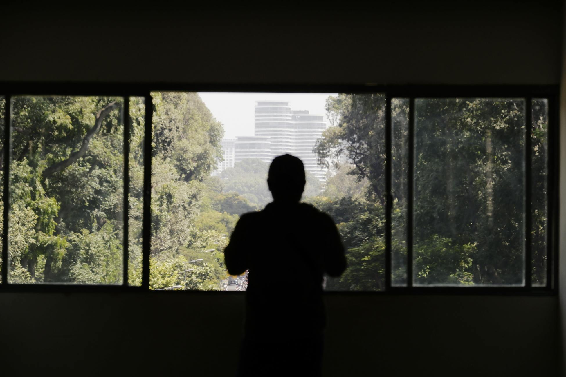 Silhouette of a person standing by a window viewing a lush green landscape and city skyline.