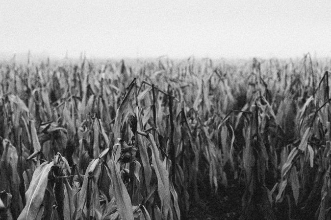 The food system is adapting to extreme heat — but the workers feeding it are being left behind