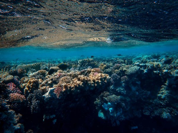 The world's marine protected areas have a sewage problem nobody wants to talk about
