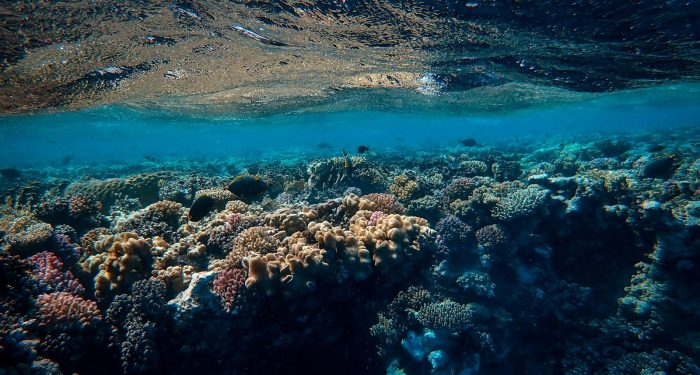 The world's marine protected areas have a sewage problem nobody wants to talk about