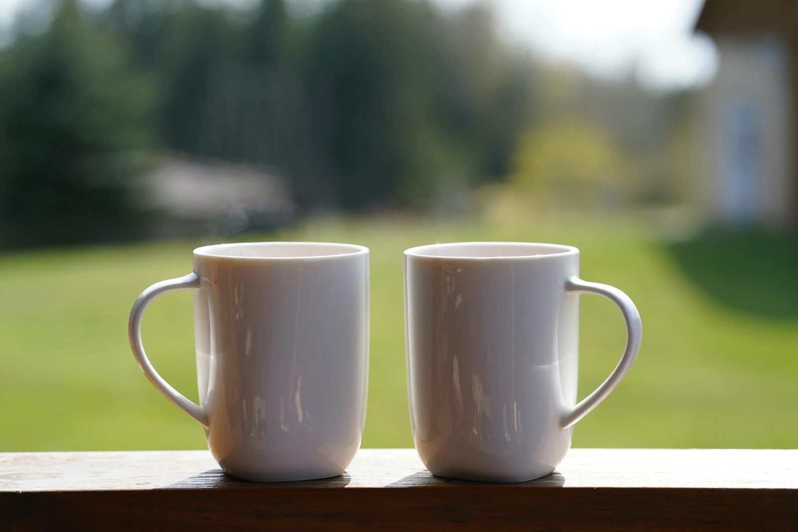 two mugs morning light