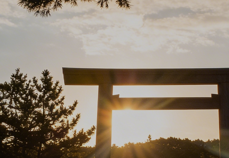 Longevity, Legacy & the Things That Last feature image