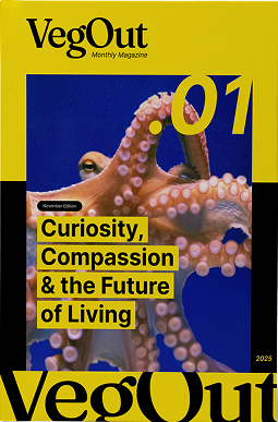 Curiosity, Compassion & the Future of Living cover