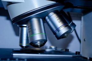 Why scientists think your gut microbes may explain the rise in early colorectal cancer