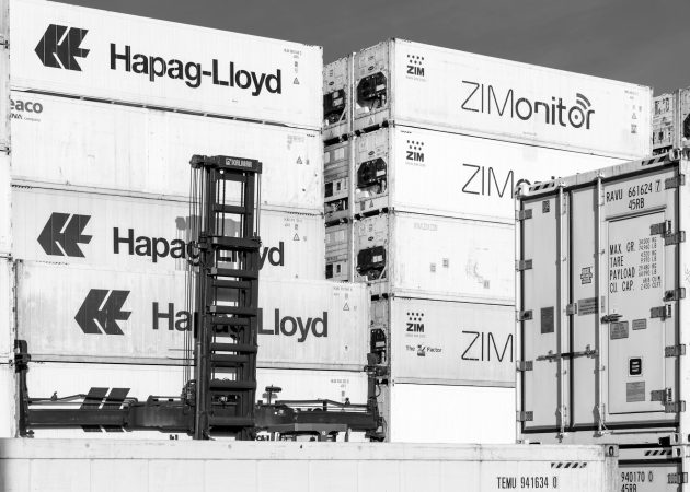 Beyond Meat's bankruptcy filing buried a detail nobody covered: pea protein imports got tangled in the same shipping disruptions sinking Spirit Airlines