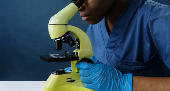 Common constipation drug slows kidney decline by reshaping the gut, Phase II trial finds