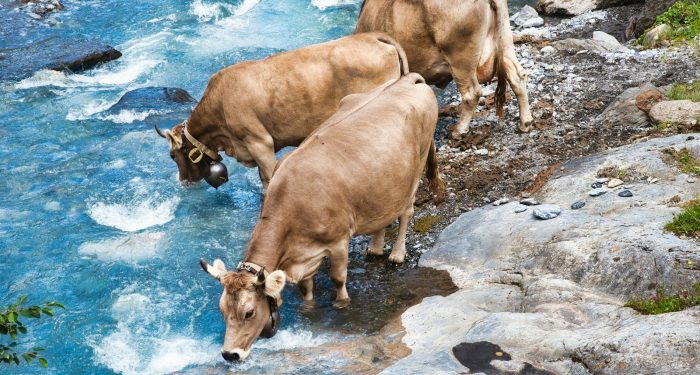 Drought is concentrating arsenic in Colorado's wells, and the poorest residents are paying