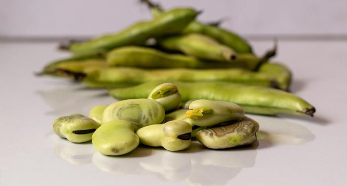 Europe's fava bean problem isn't on the plate, it's in the supply chain