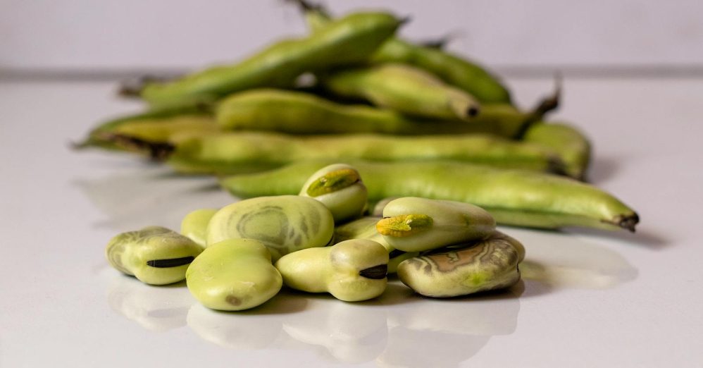 Europe's fava bean problem isn't on the plate, it's in the supply chain