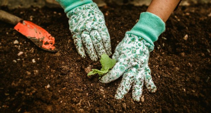 hands in garden soil