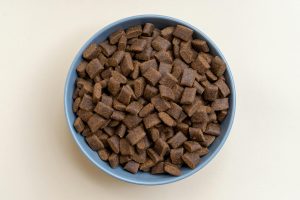 Mars Petcare just quietly tilted its alternative-protein hunt toward Asia-Pacific — and the reason has less to do with pet food innovation than with collapsing birth rates reshaping who fills the family bowl