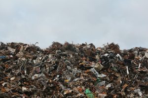 New Orleans just logged its heaviest Mardi Gras trash haul on record, and the easy explanation about bigger crowds collapses the moment you look at what's actually in the pile