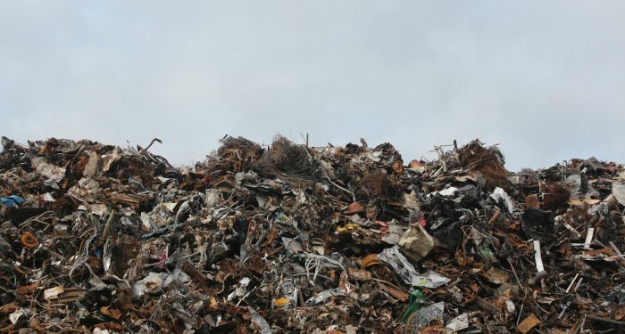 New Orleans just logged its heaviest Mardi Gras trash haul on record, and the easy explanation about bigger crowds collapses the moment you look at what's actually in the pile