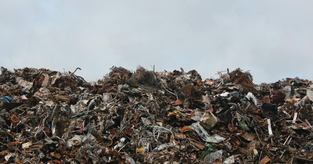 New Orleans just logged its heaviest Mardi Gras trash haul on record, and the easy explanation about bigger crowds collapses the moment you look at what's actually in the pile