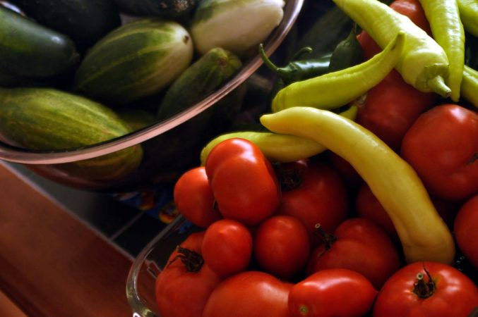 Psychology says people who garden vegetables they barely eat aren't doing it for the harvest, they're doing it for the only relationship in their life where showing up consistently produces a visible, unambiguous result