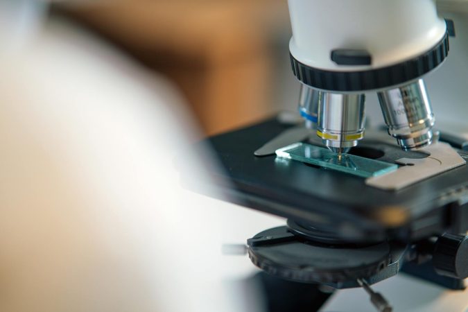 Rochester biologists just transplanted a naked mole rat gene into mice and extended their lifespan — and the 4.4% number matters far less than what the method actually proves