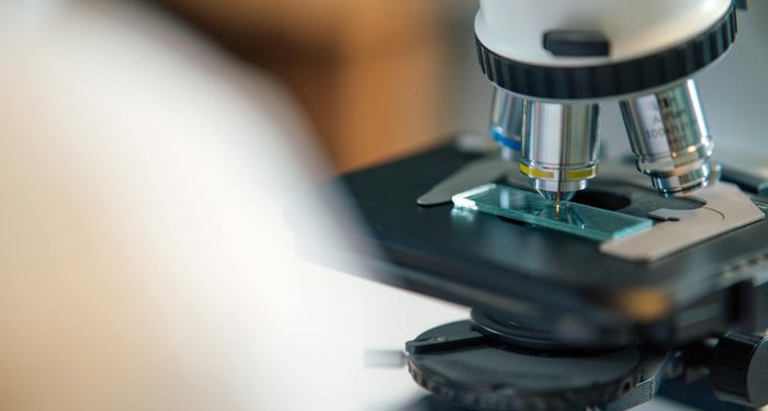 Rochester biologists just transplanted a naked mole rat gene into mice and extended their lifespan — and the 4.4% number matters far less than what the method actually proves