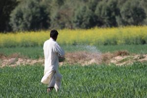 The fossil fuels hiding inside your food, not just behind it
