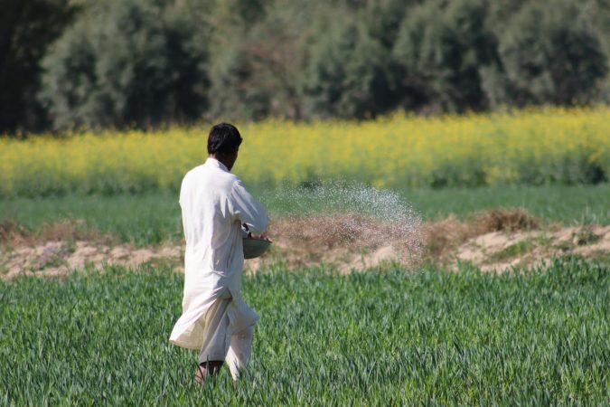 The fossil fuels hiding inside your food, not just behind it