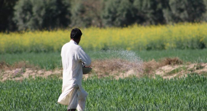 The fossil fuels hiding inside your food, not just behind it